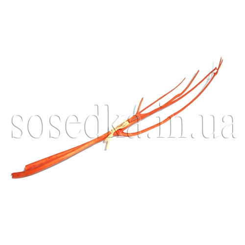 Коряга натуральная Коряга натуральная