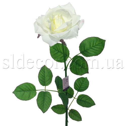 Роза белая Роза белая