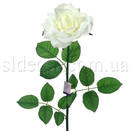 Роза белая Роза белая