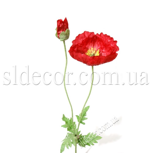 Шелковые маки