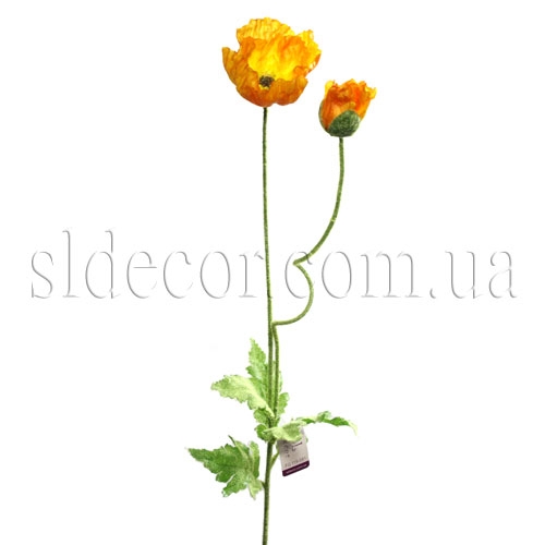 Мак оранжевый