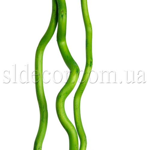 Корилус купить